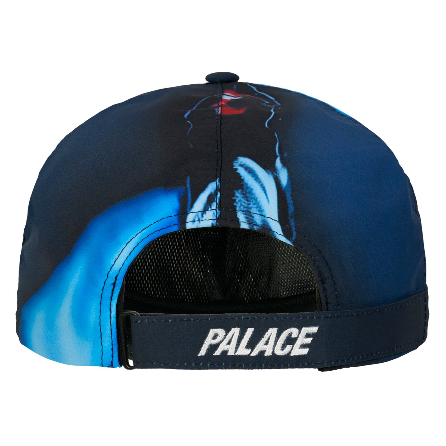 Palace Gore-Tex P 6-Panel "K-Nein Print"