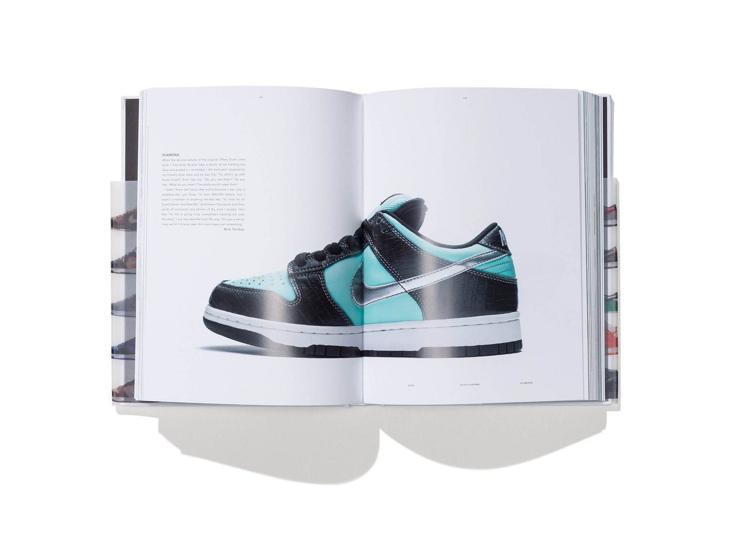 Nike SB: The Dunk Book