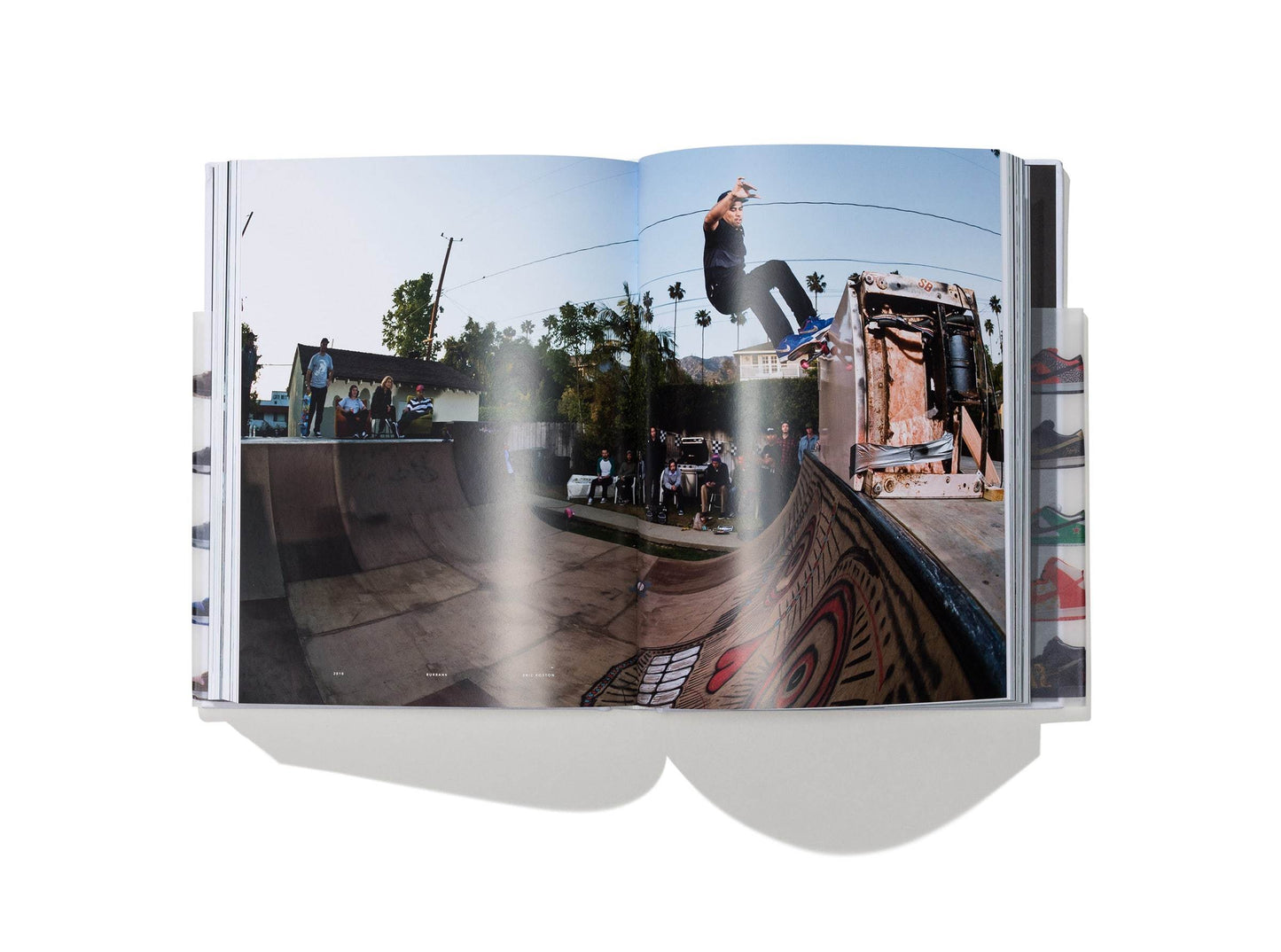 Nike SB: The Dunk Book