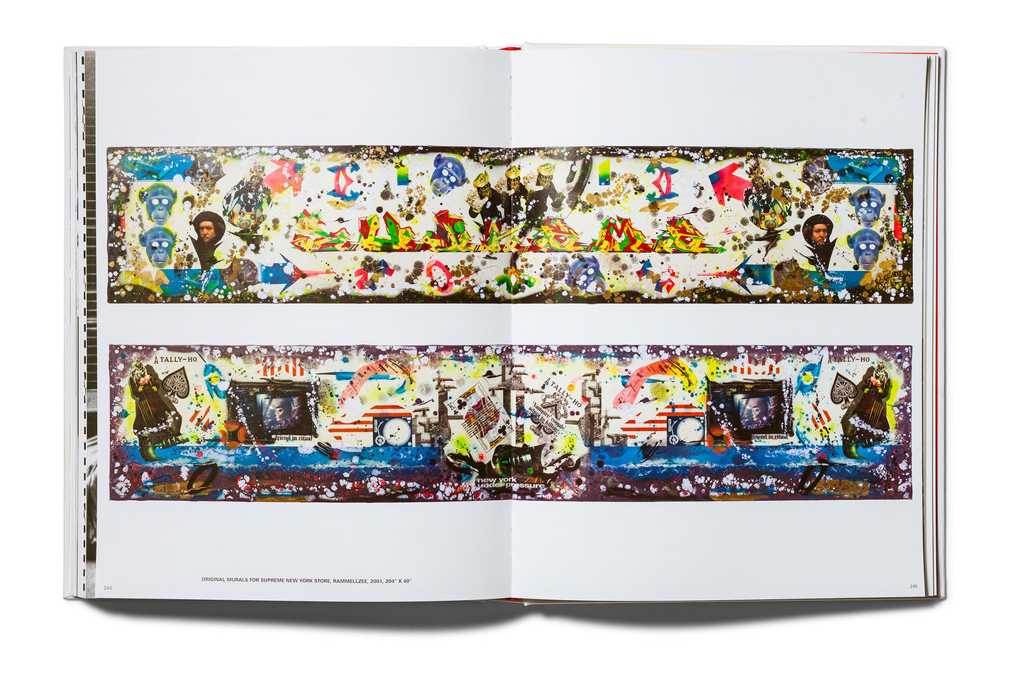 Supreme : Downtown New York Skate Culture